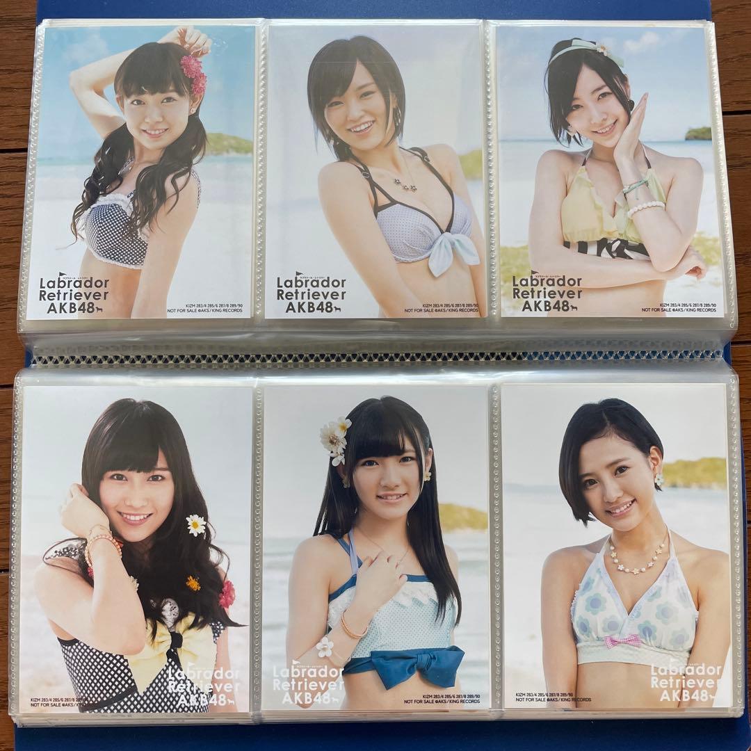 AKB ラブラドールレトリバー 通常 生写真