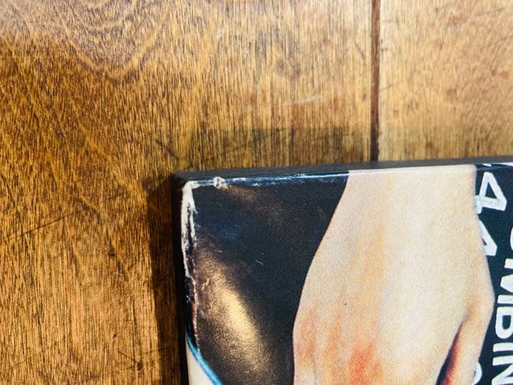 THE BLUE HEARTS ブルーハーツ　解散アルバム　ポスターパネル