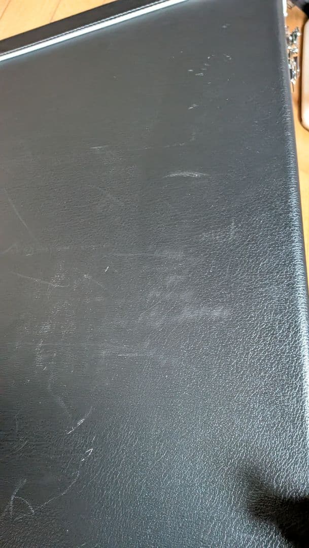 masaya.comフェルナンデスmg-1　ハードケース　モッキンバード