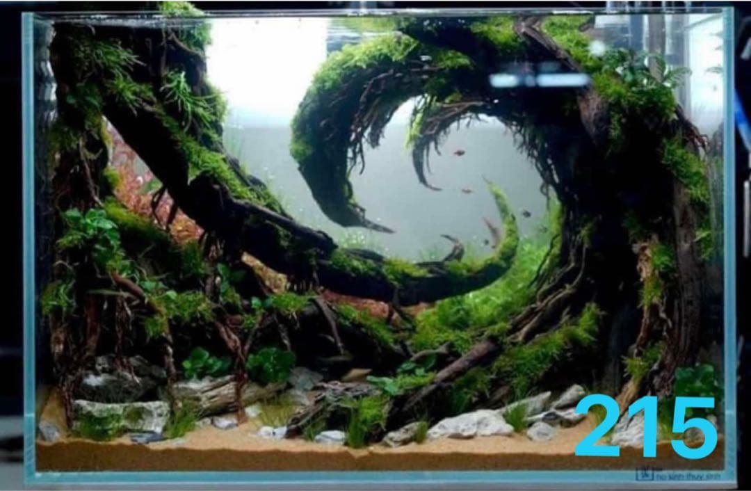 水槽用流木 自然なデザイン. 盆栽流木　の水槽、水草用の 流木。流木アクアリウム