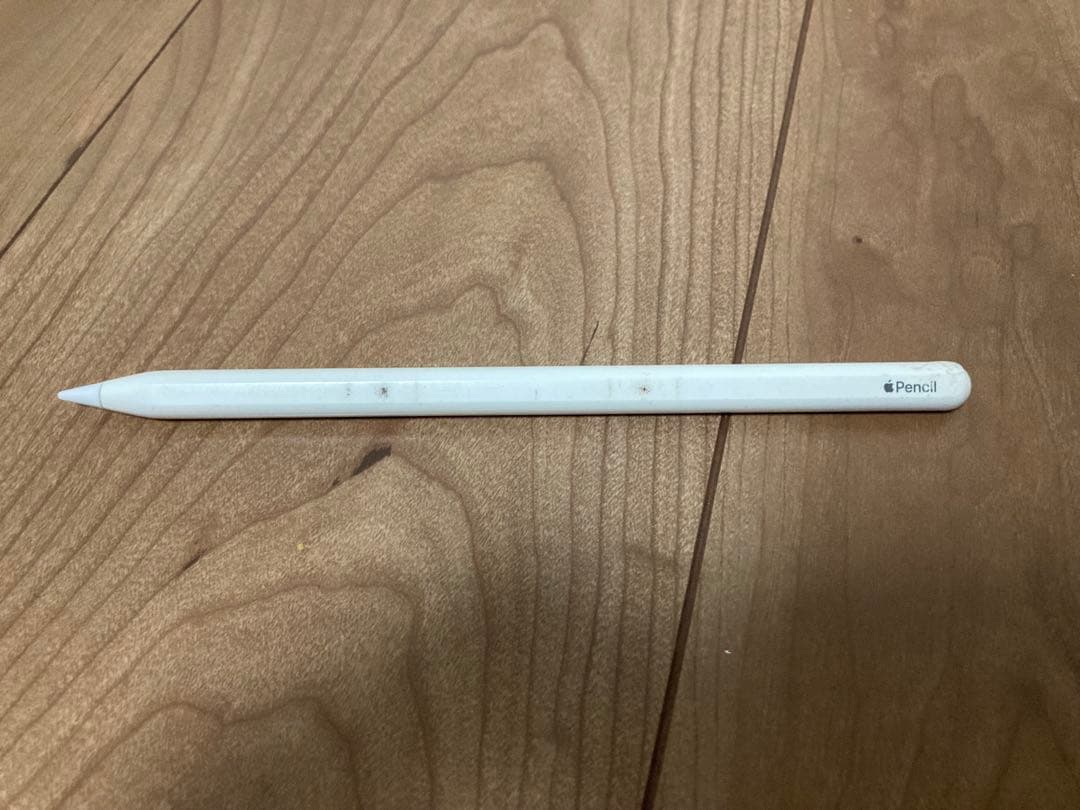 iPad Pro 12.9インチ 第5世代 512GB セルラーモデル