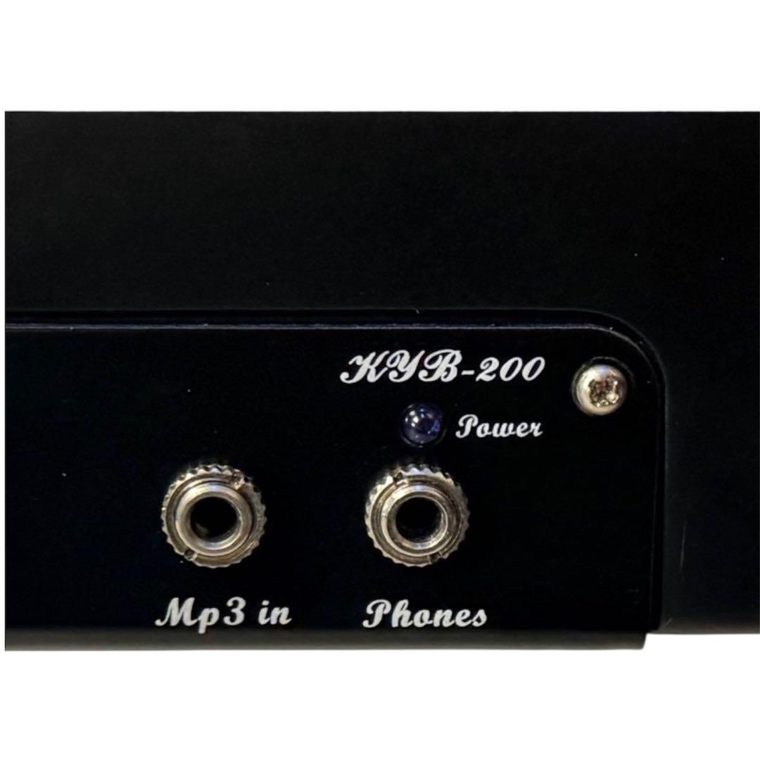 【美品】Hallstatt WBSE-850 KYB200アップライトベース