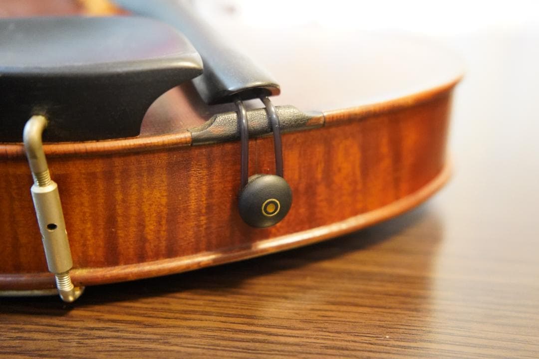 【美・良音】ローデリヒペゾルト　バイオリン Paesold 804 4/4　☆5