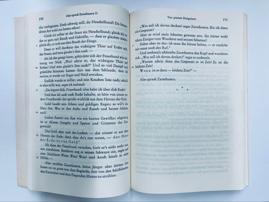 DTV「フリードリヒ・ニーチェ全集」全15冊揃セットドイツ語版/思想/古典文献/