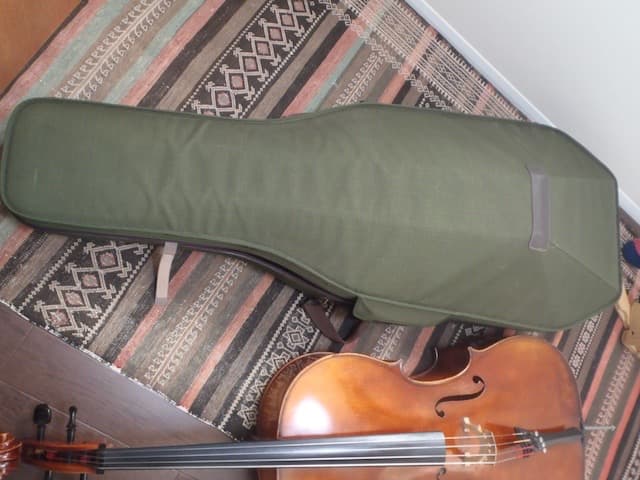 ❤️Roderich Paesold No.603 1995 チェロ +ケース