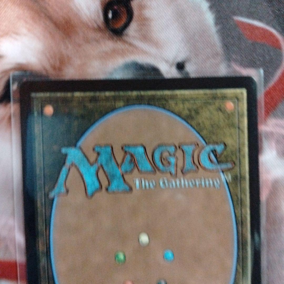 MTG 魔導の力を持つ少女、ティナ ボーダーレス　204 英語版