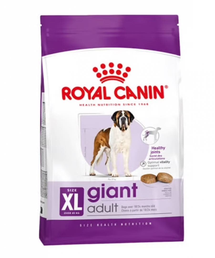 あっちょんぶりけ