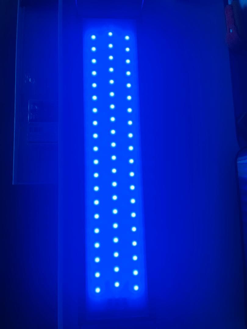 Chihiros wrgb2 60 + シェード x 2