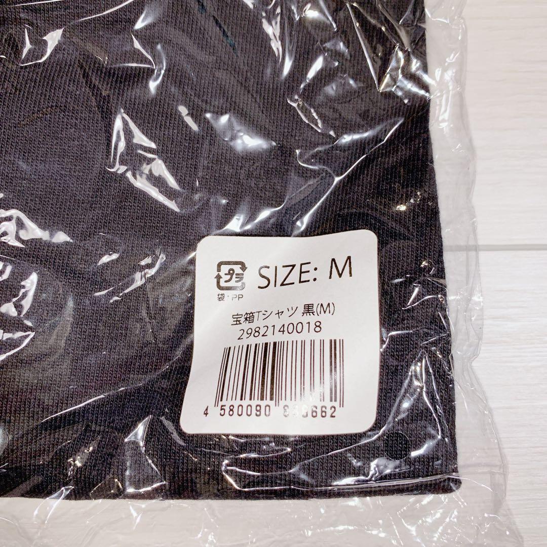 エルレガーデン 宝箱Tシャツ ELLEGARDEN Mサイズ 黒 ライブ バンド