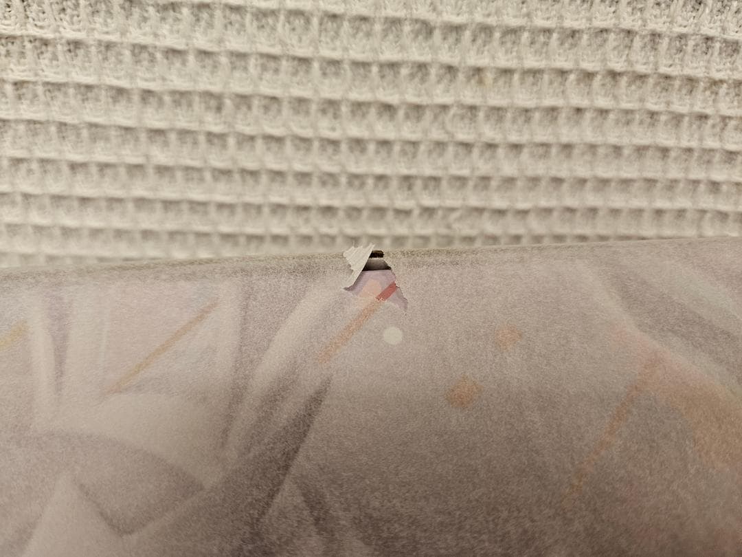 【セット販売】ガンダムSEED ラクス、ミーア 生足バニーVer. セッ