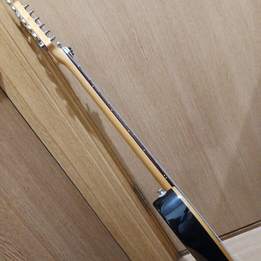 grass.Roots.エレキギター＆ソフトケース