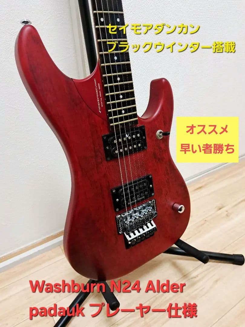 ギター Washburn N24 Alder padauk