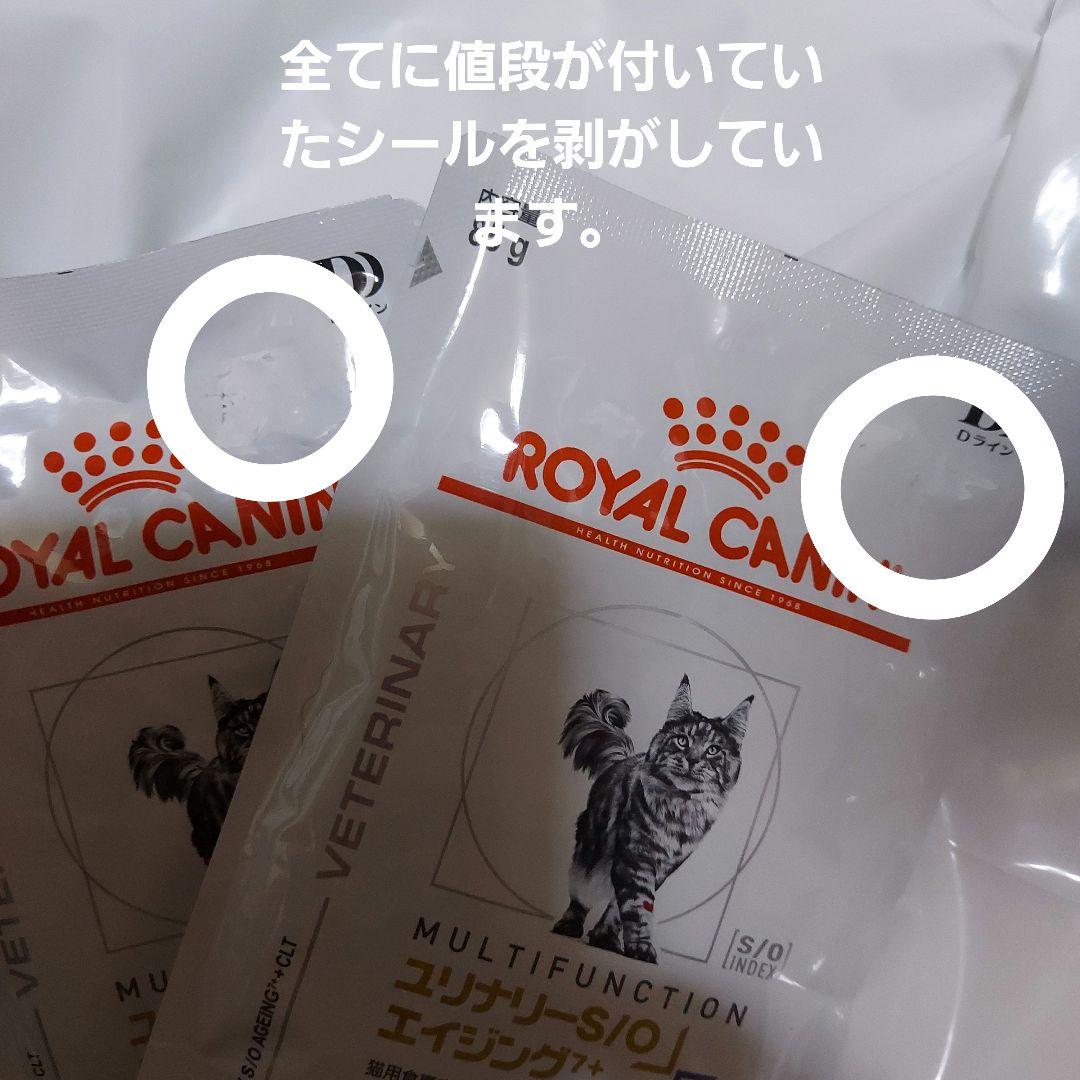  CANIN S/O　CLT　膀胱炎療法食　猫用療法食 85g 23袋