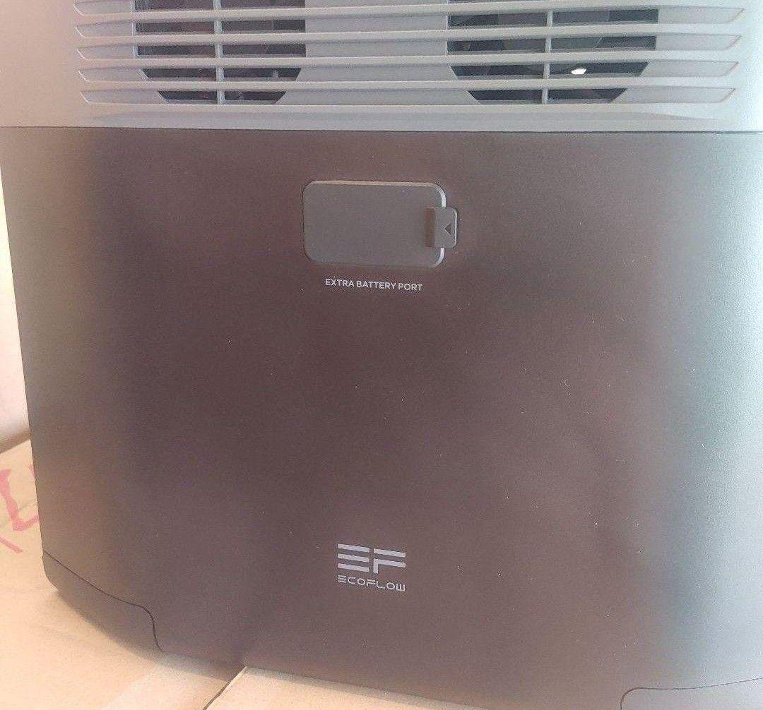 や*ち様 正規整備済品　EcoFlow DELTA 2 ポータブル電源