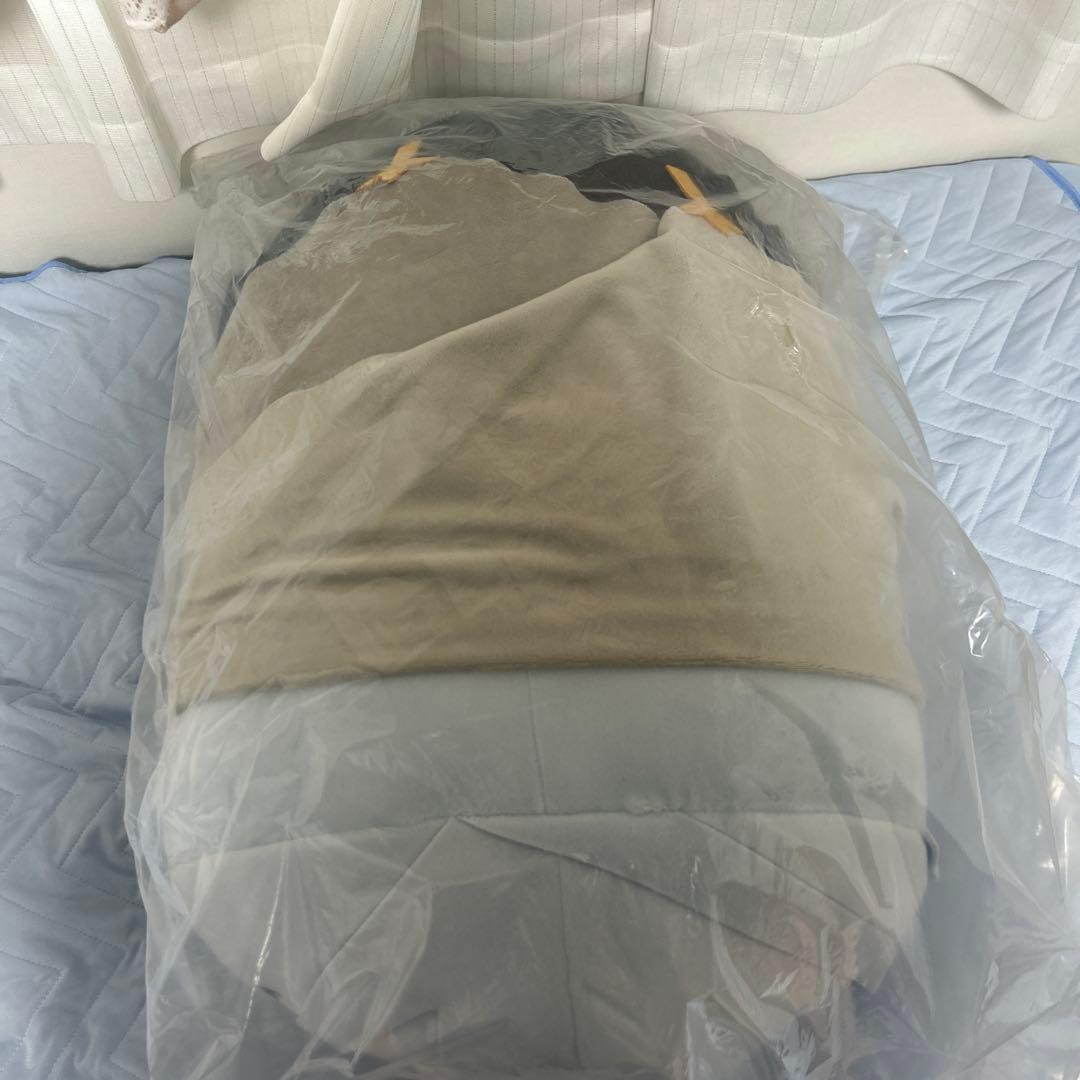 刀剣乱舞　もちもちマスコットビッグ　もちマス　山姥切長義