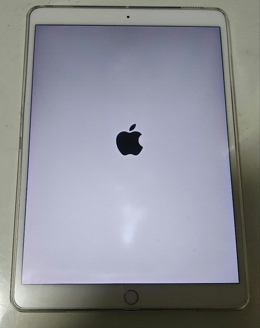i Pad Pro 10.5インチ　512GB　Wi-Fi+Cellular