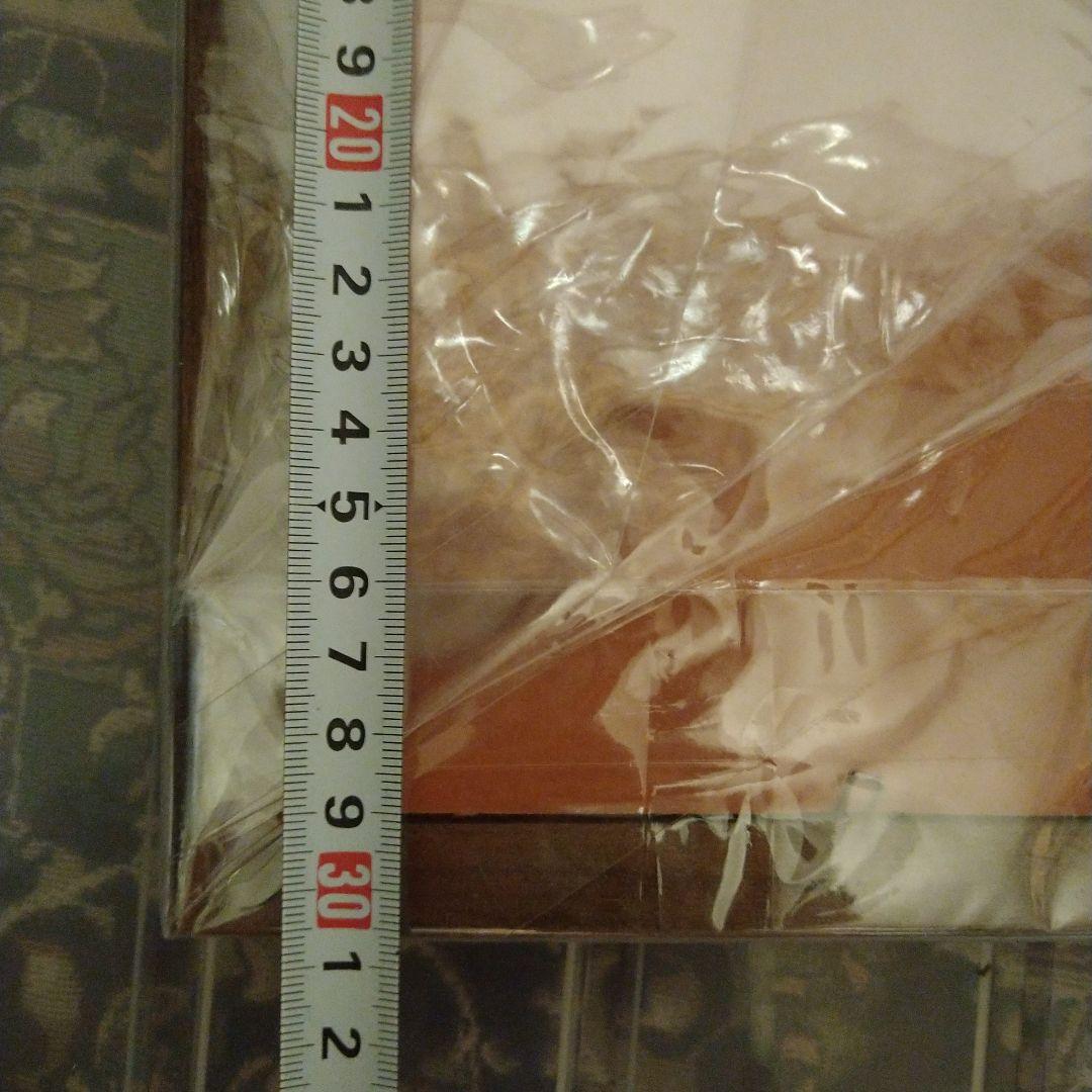 BMW オートバイ パブミラー