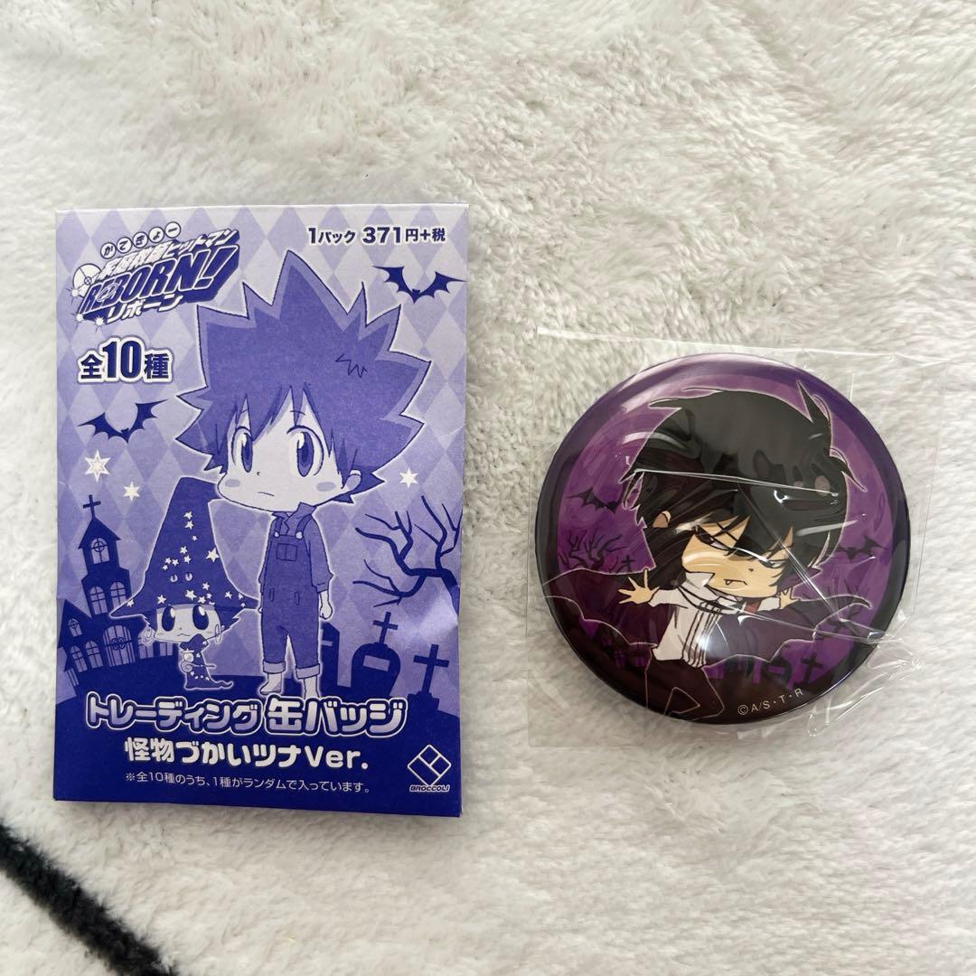 家庭教師ヒットマンREBORN! 雲雀恭弥 怪物づかいつツナ 缶バッジ