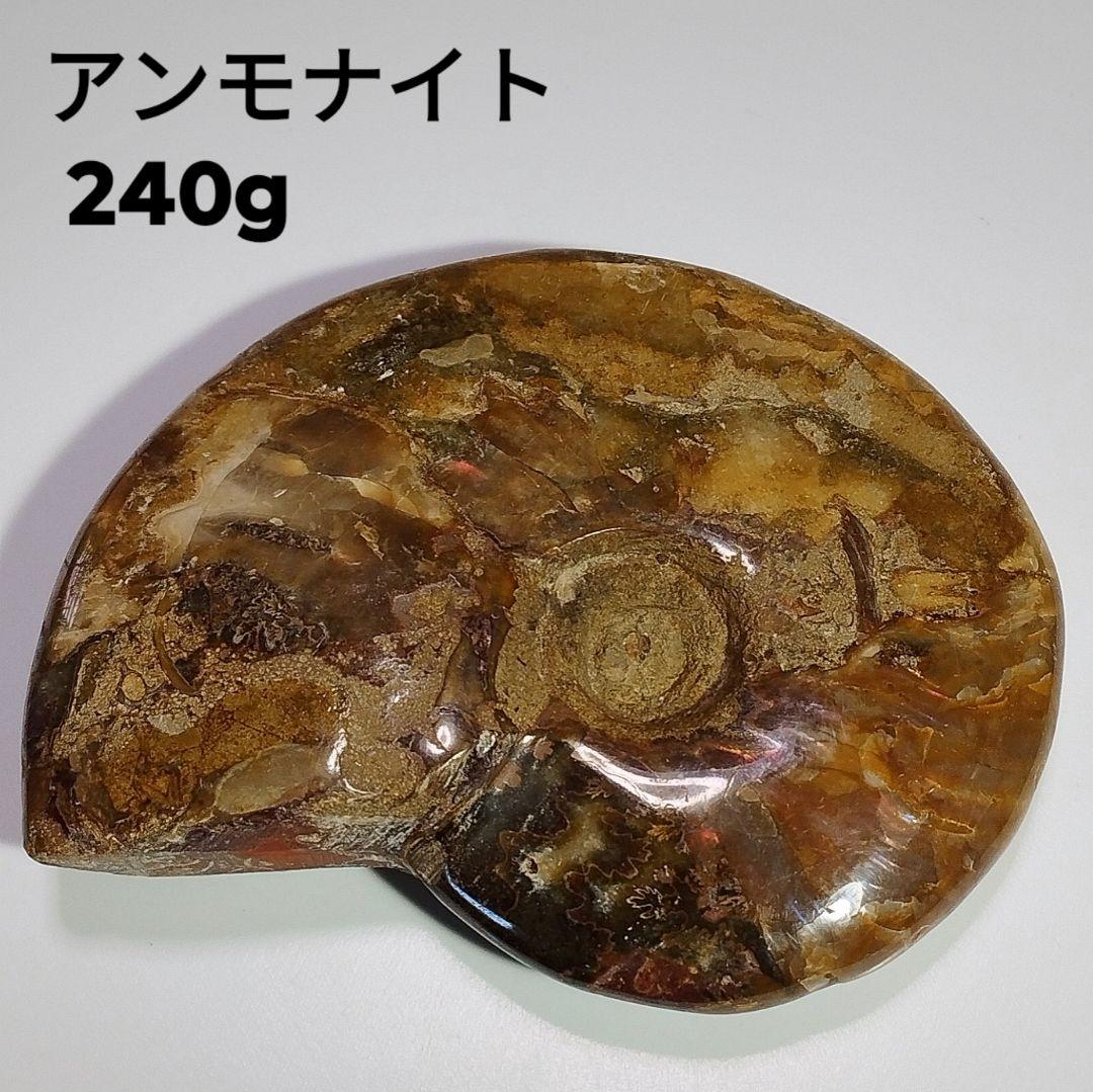 240g アンモナイト 化石 アンモライト オパール化 本物 原石 鉱物標本