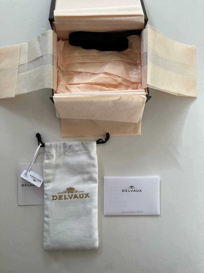 【新品未使用】DELVAUX パン D カードホルダー　Rosewood