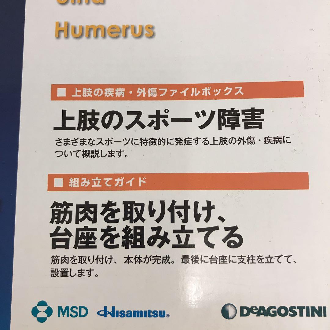 骨格模型をつくる　上肢モデル　1-4 デアゴスティーニ　非売品