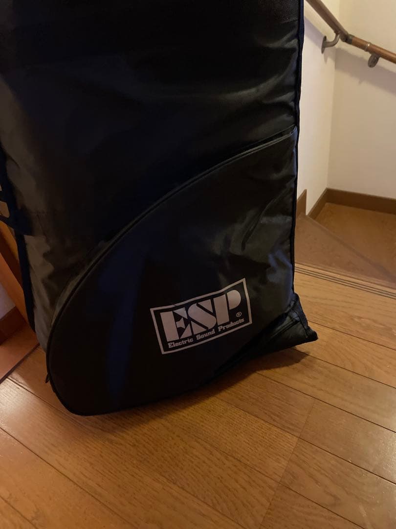 【60s】GUYATONE LG-160T テルスター ヴィンテージ