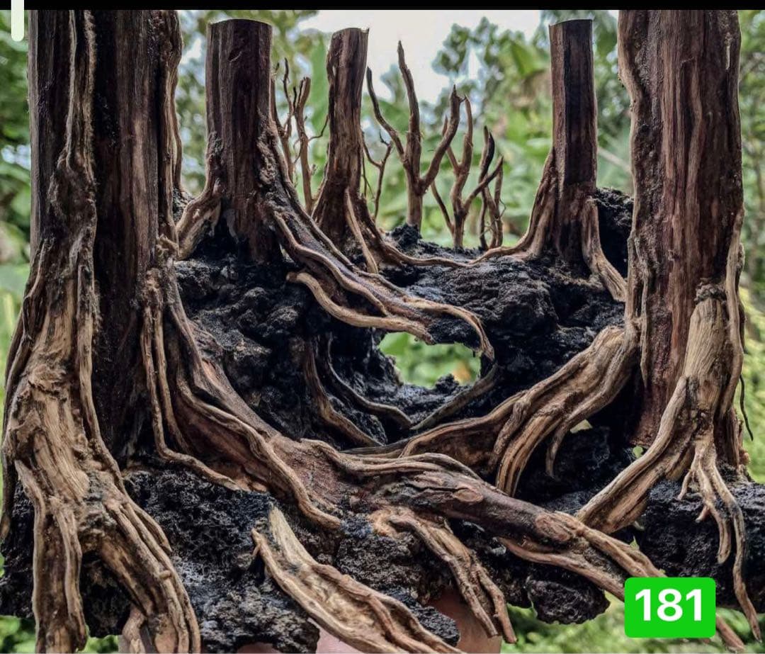 爬虫類ゲー ジ。水槽。水生植物。水槽用流木　。流木 アクアリウム　盆栽流木