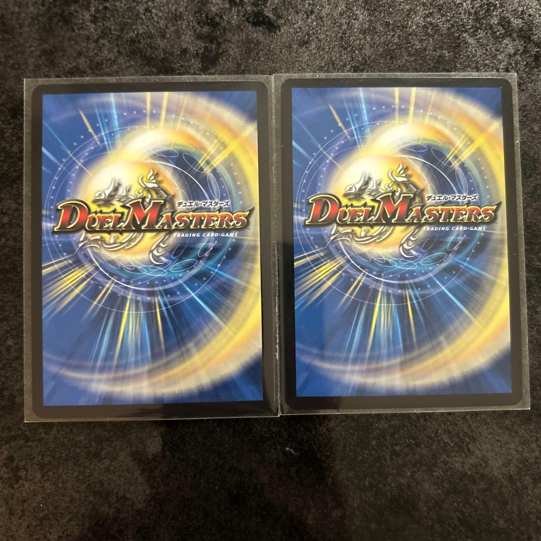 天災 デドダム2枚セット