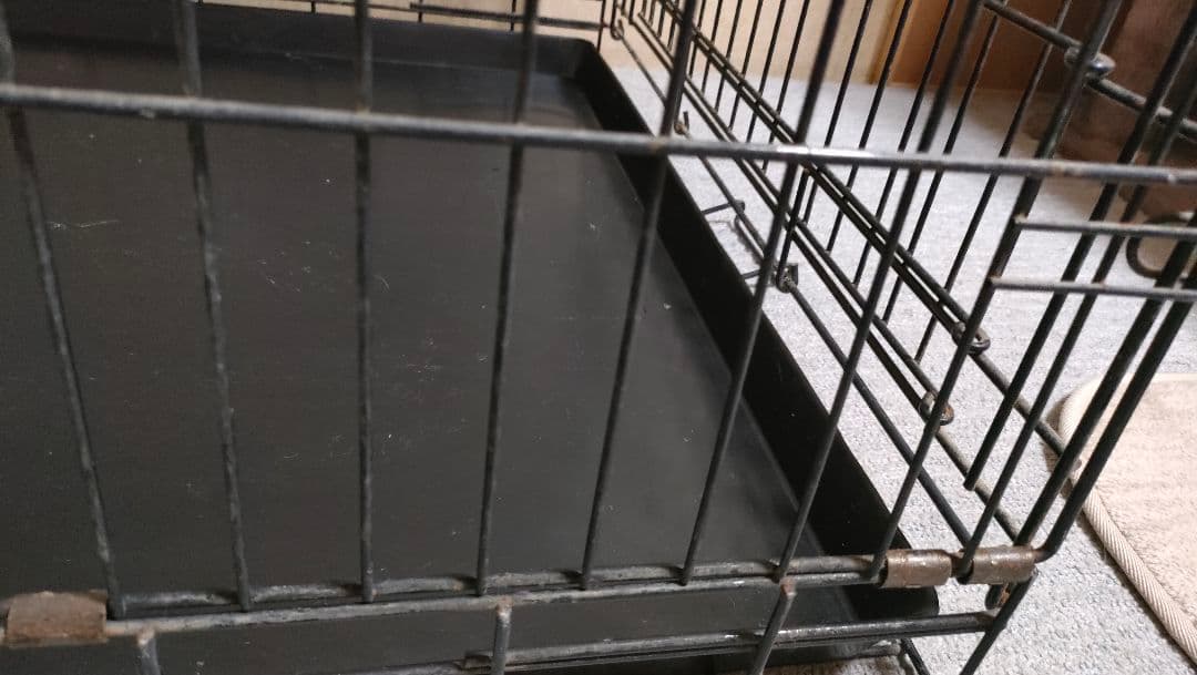 トムキャット　トムクレイト5000 大型犬などに　折りたたみ可