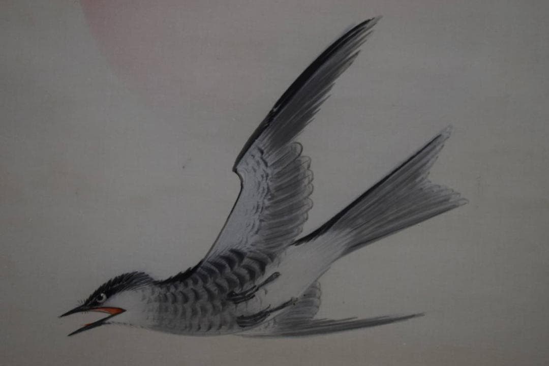 真作/弓家恒畝/杜鵑図/ホトトギス図/絹表装/布袋屋掛軸HH-243