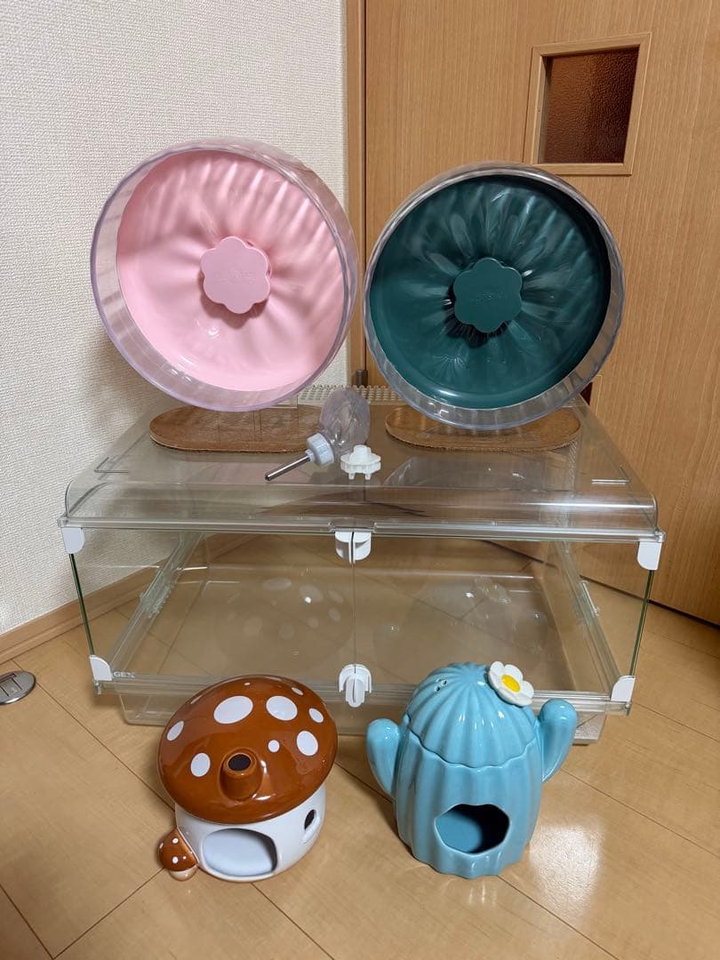 GEX グラスハーモニー600 BUCATSTATEセット