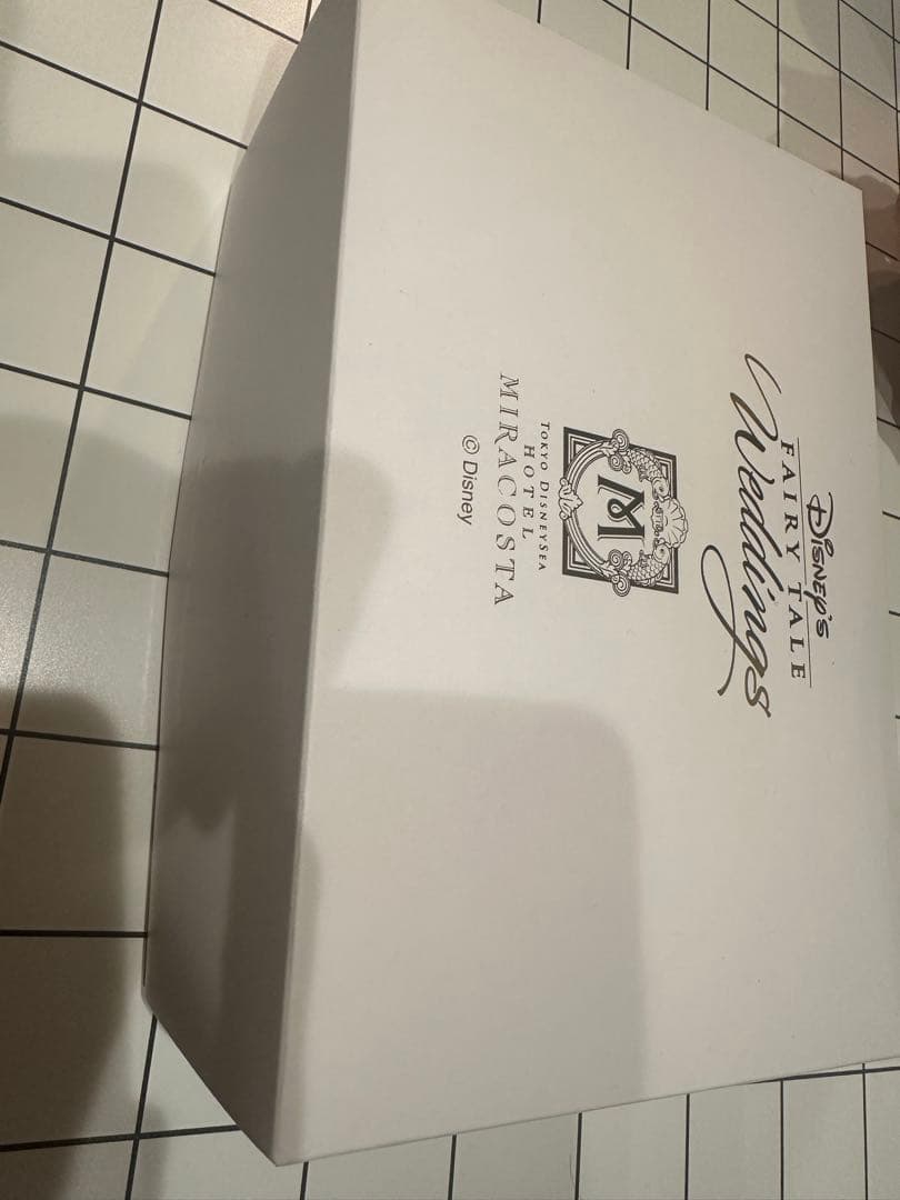 ディズニーミラコスタ（フェアリーテイル限定タオル）