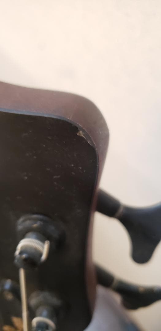 Warwick thumbベースbolt-on　4弦