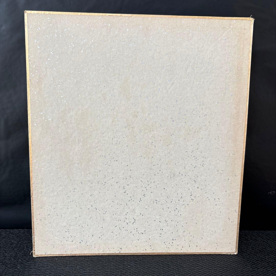 専用品です‼️