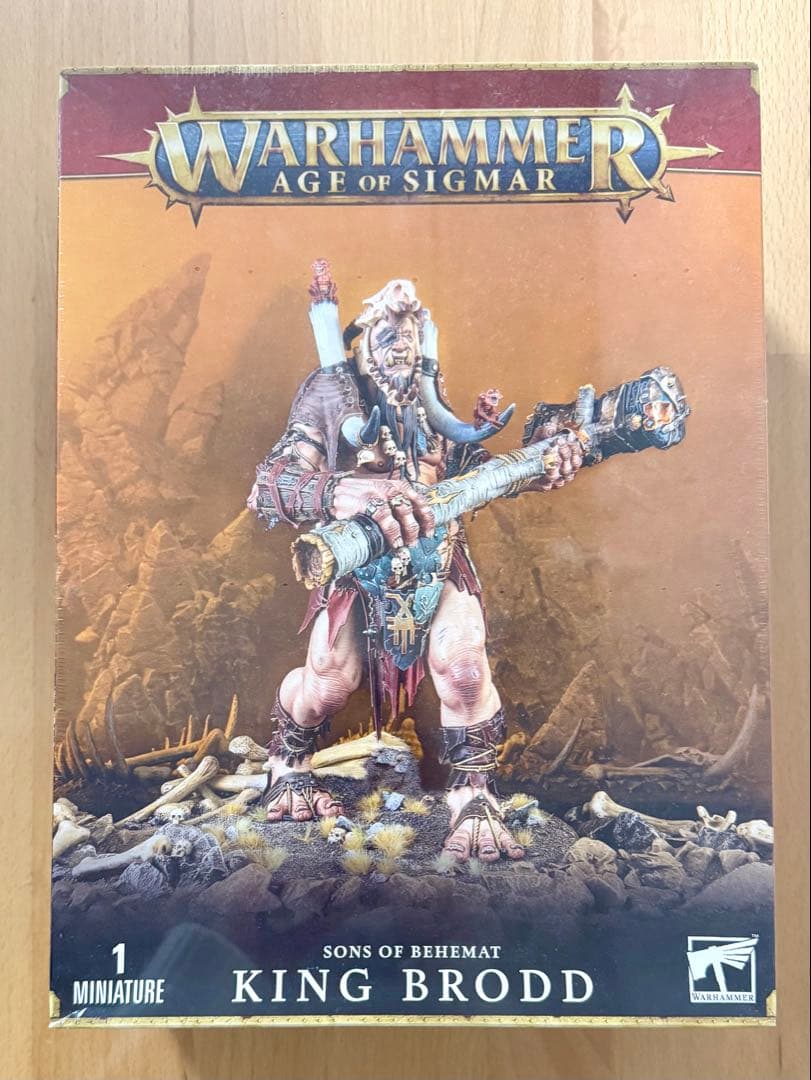 【新品未開封】Warhammer King Brodd