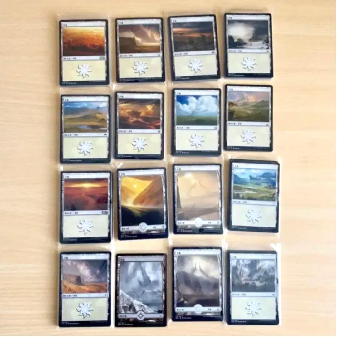 MTG 日本語 基本地形 基本土地 全コンプリート 4ED〜ZNR コレクション