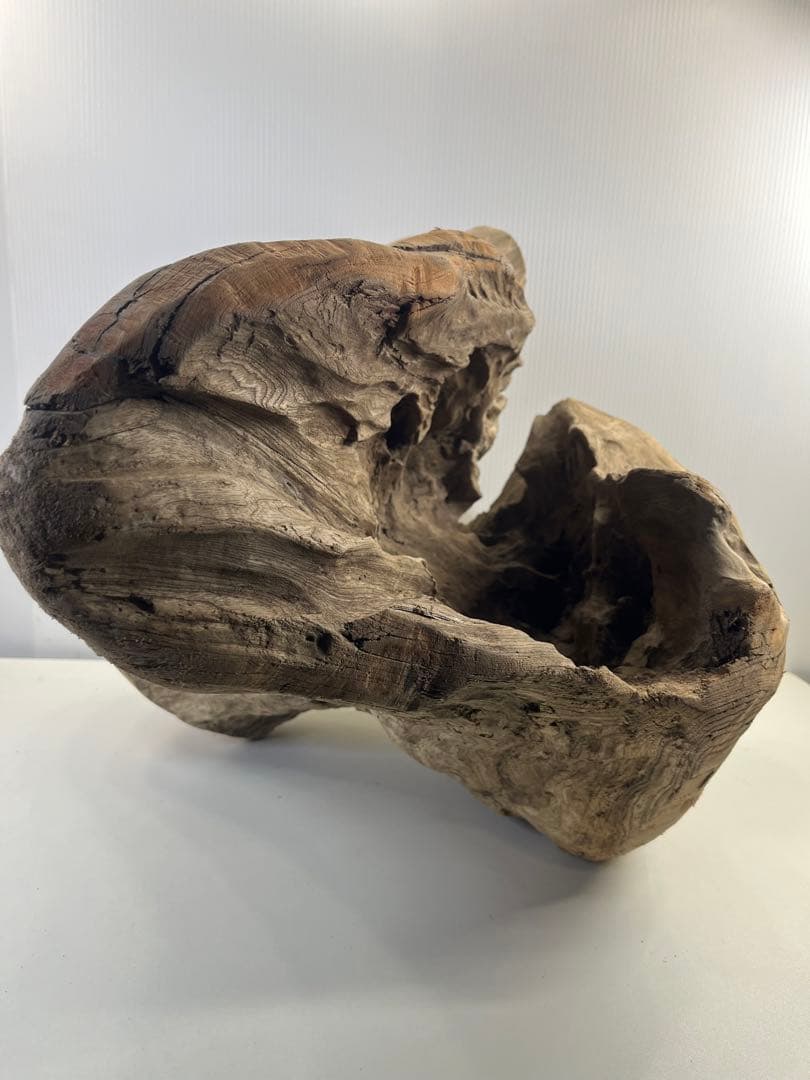 k64大型流木 アク抜き済み 爬虫類シェルター レイアウト用 登り木 インテリア
