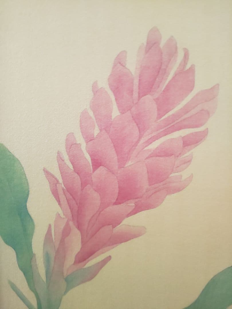 絵画 額付き ヒメバショウ 絹本 花鳥画