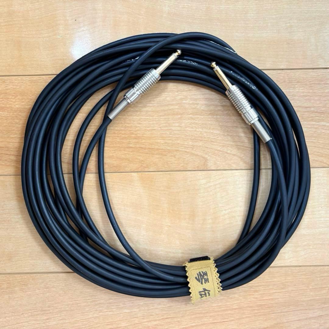 Roland ローランド CUBE CM-30 モニタースピーカー