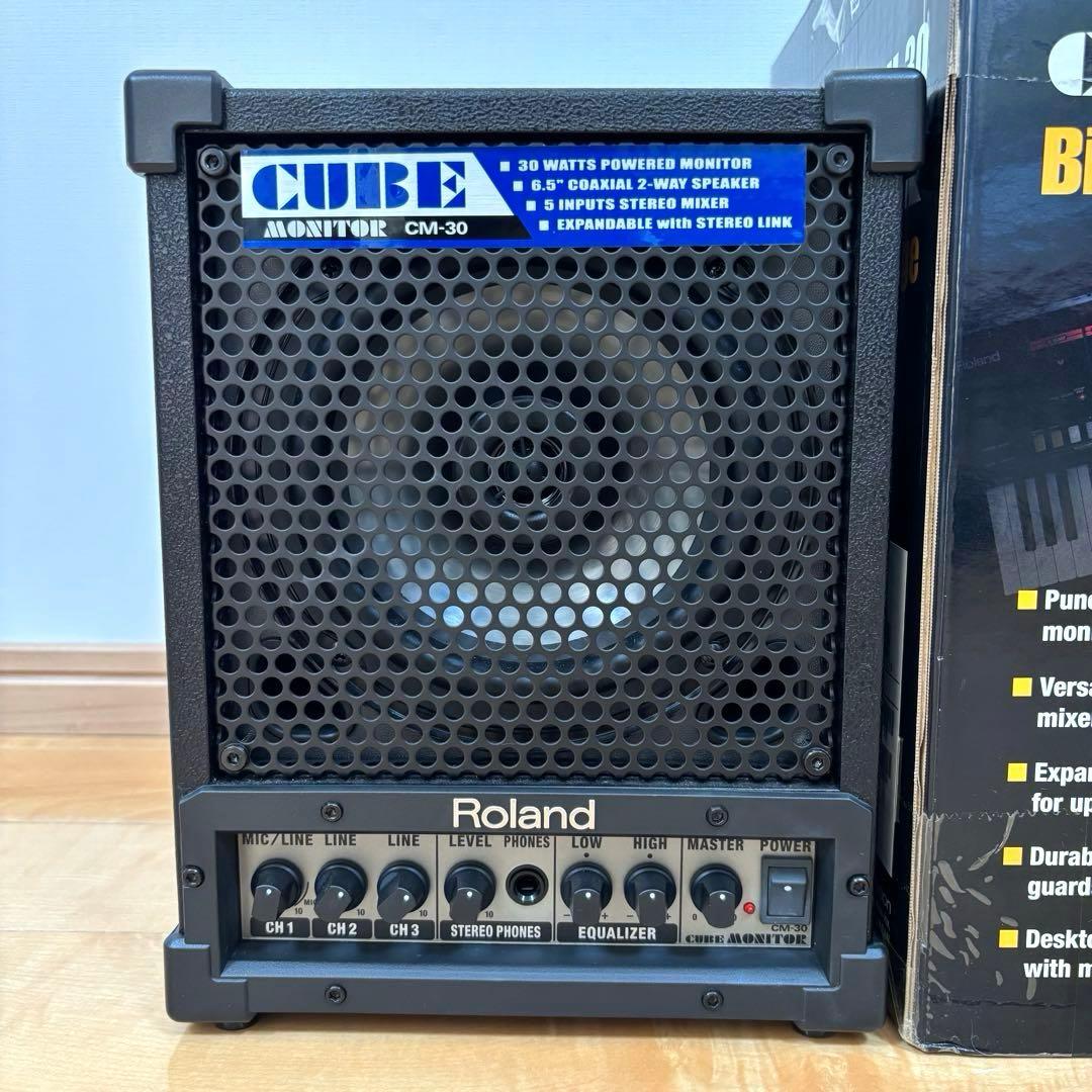 Roland ローランド CUBE CM-30 モニタースピーカー