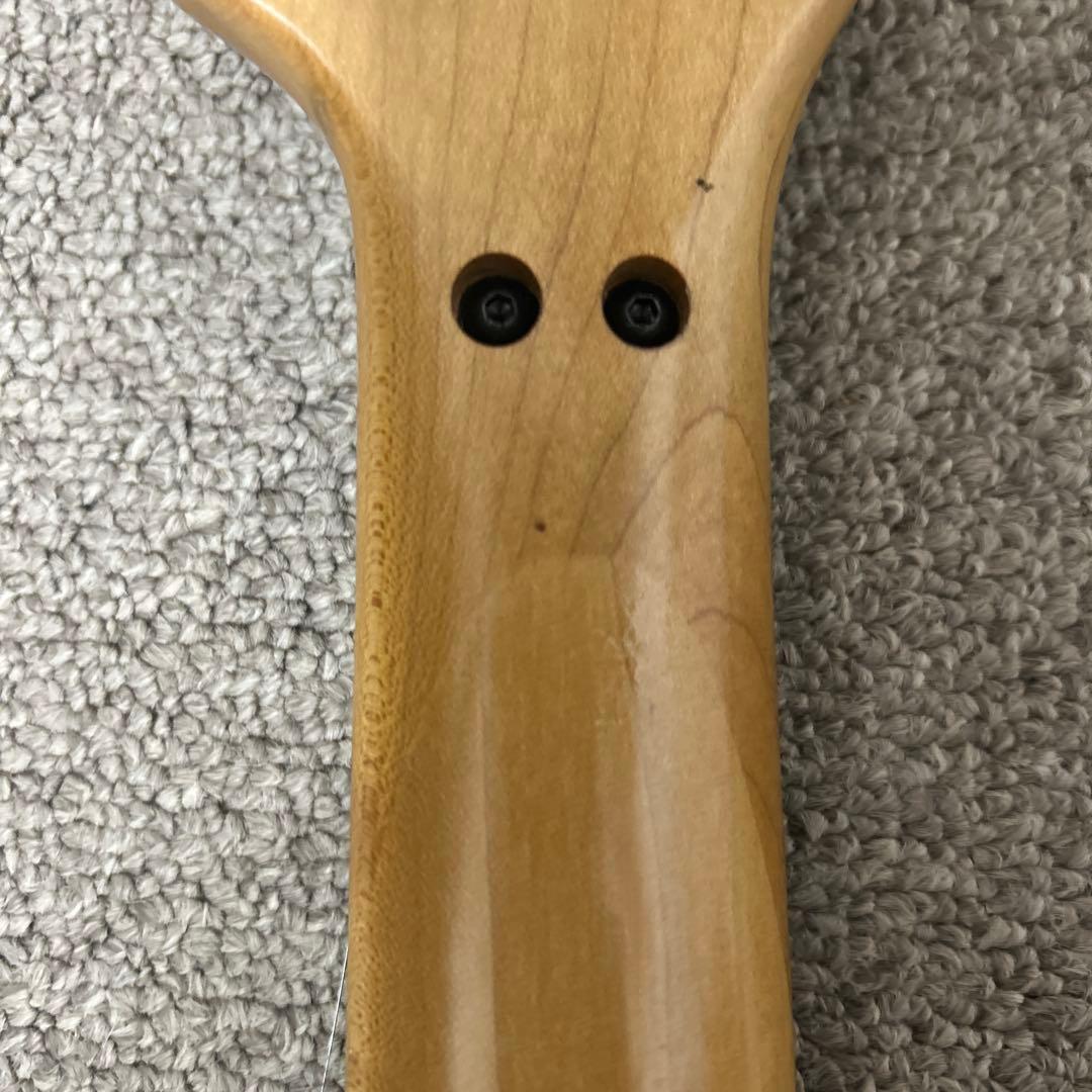 Ibanez Paul Gilbert Signature エレキギター