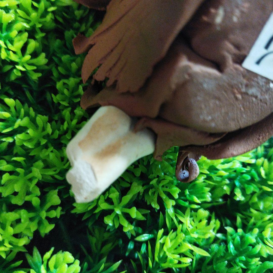 【陶器人形】創作人形作家　竹内祥子様の作品　森の精