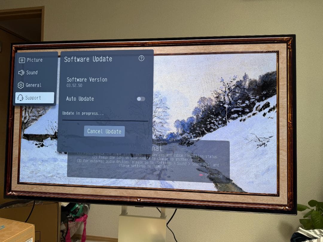 LG OLED48C1PJ8 48インチ 有機ELテレビ 2021