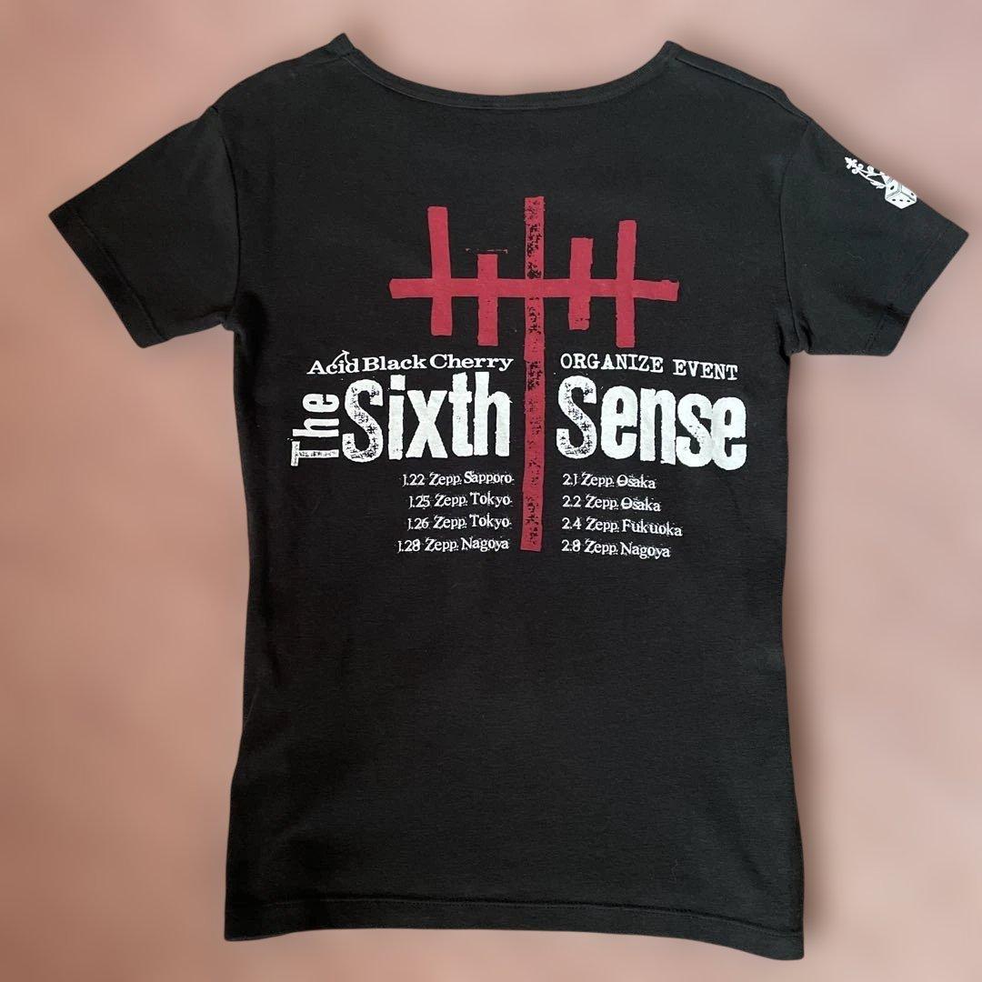 Acid Black CherryツアーTシャツ2枚セット