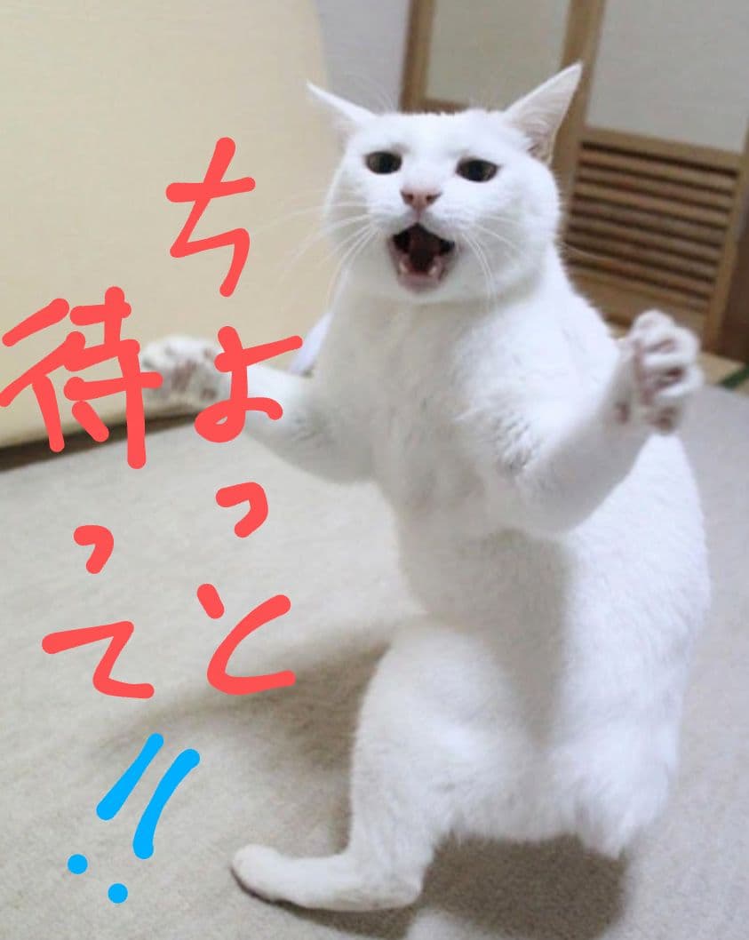 《蔵出し美品❗️》カーボネイト DOCガスブロ－バック 落ち着いた大人のitem