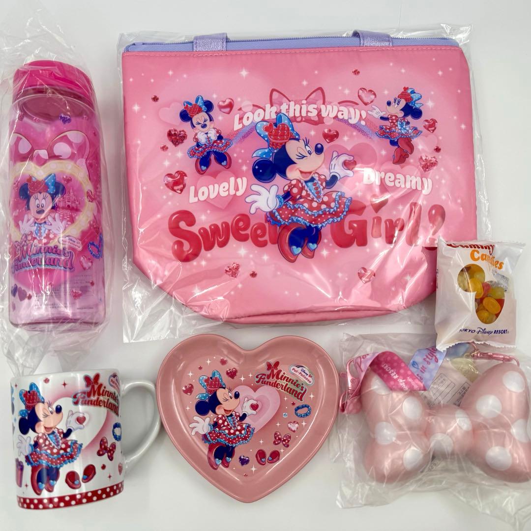 パルパルーザ ミニーマウス ファンダーランド ディズニー　スーベニア　5点セット