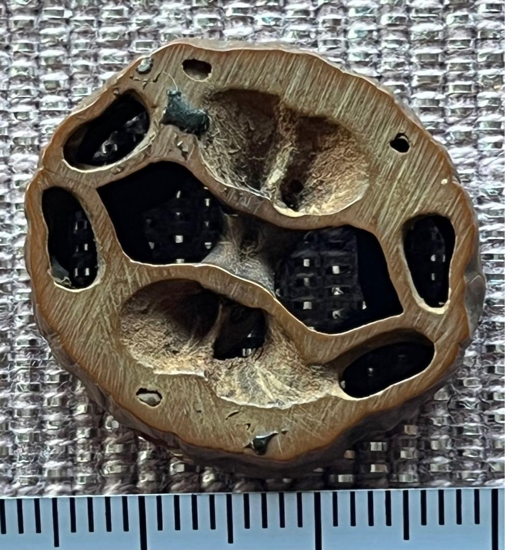 時代物　提げ物 6点　煙草入れ 煙管入れ 桃核 骨彫り 彫刻 アンティーク 古玩