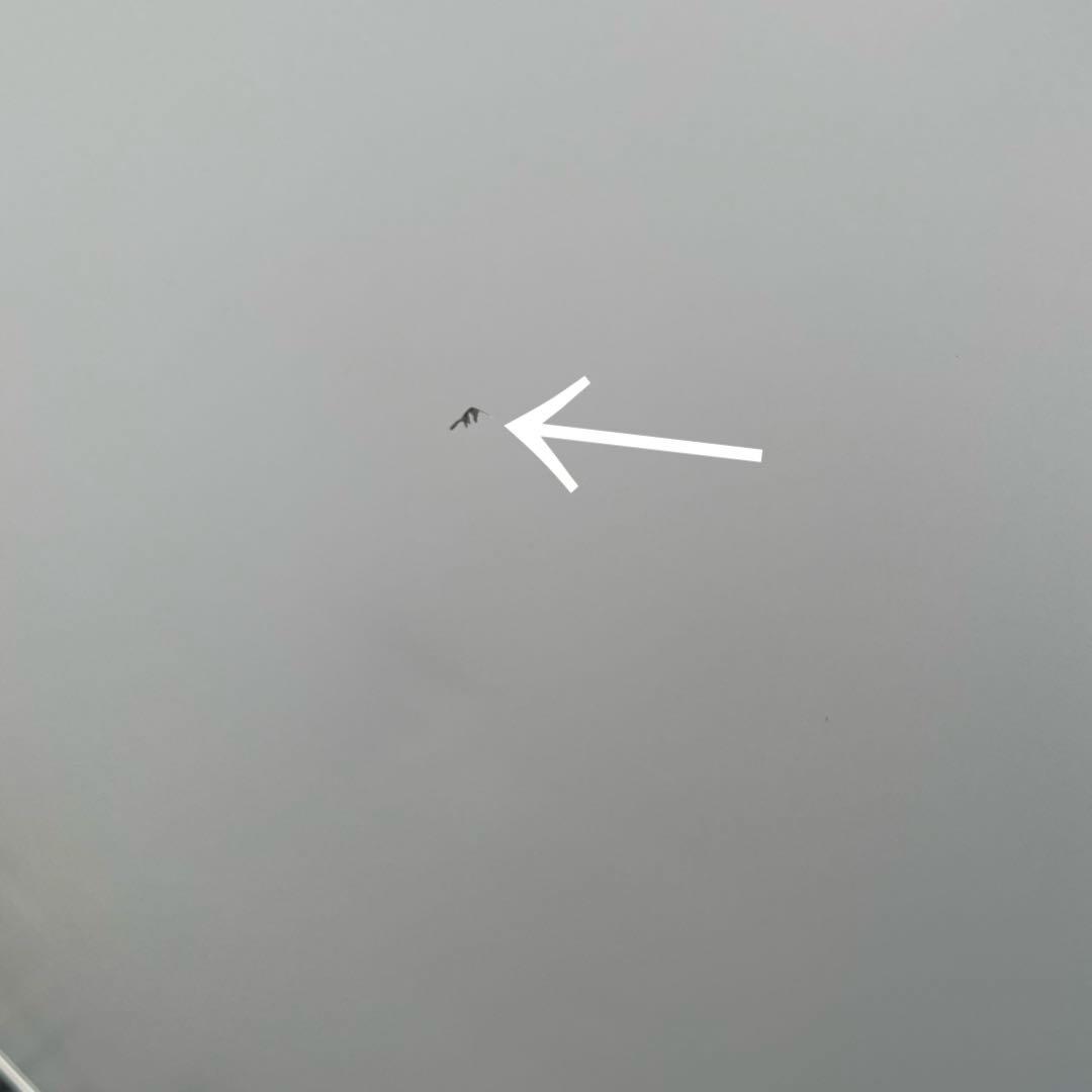 アイリスオーヤマ冷蔵庫　☆地域限定配達無料★ IRIS OHYAMA冷蔵庫