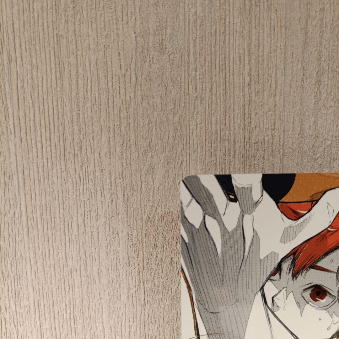 【ハイキュー!!】 バボカ!! BREAK 日向翔陽 シリアル 極P