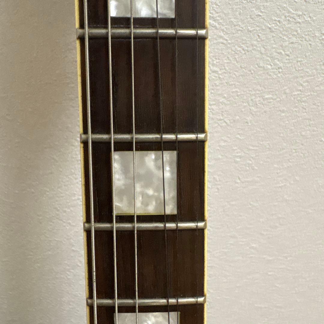 ギター ESP Grass roots knight model G-KT-48